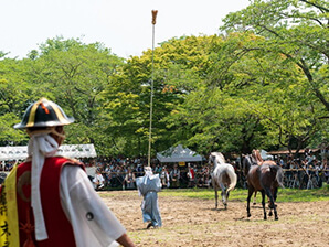 野馬懸（3日目）