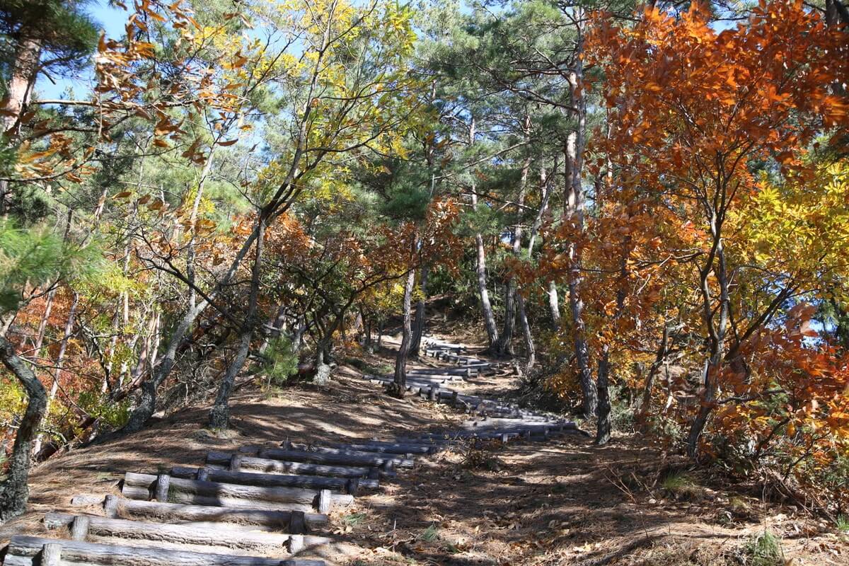 砥石城跡へは東太郎山を登ります。