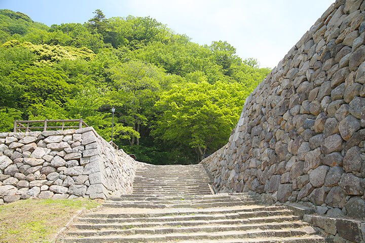 鳥取城