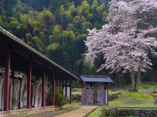 西山光照寺跡