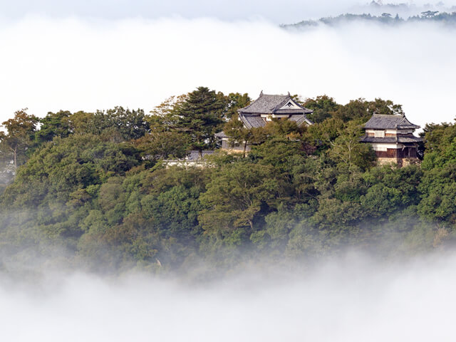 雲海に浮かぶ備中松山城