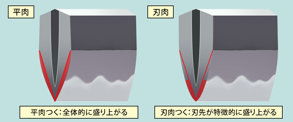 平肉と刃肉