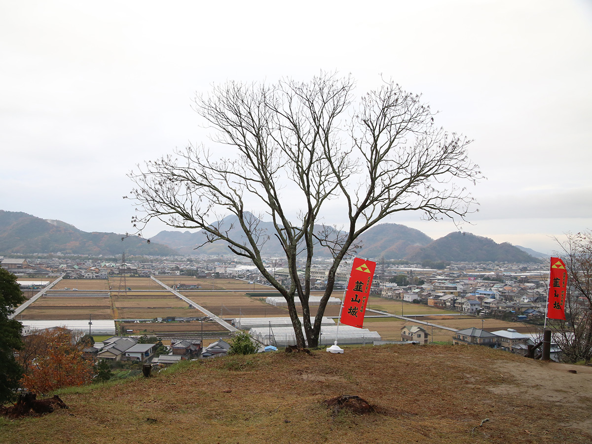 韮山城の本丸跡です。