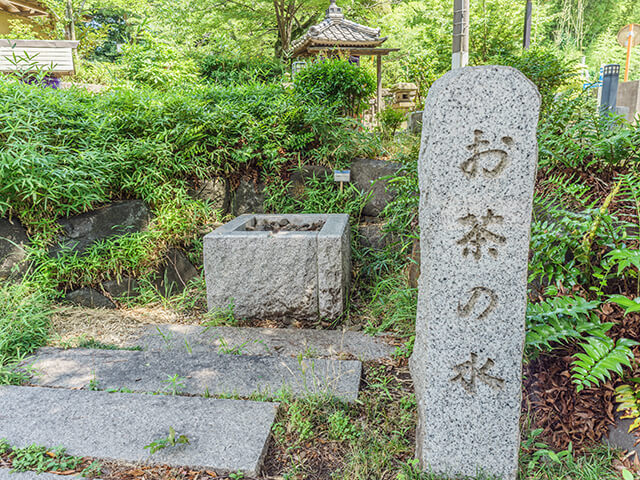 お茶の水