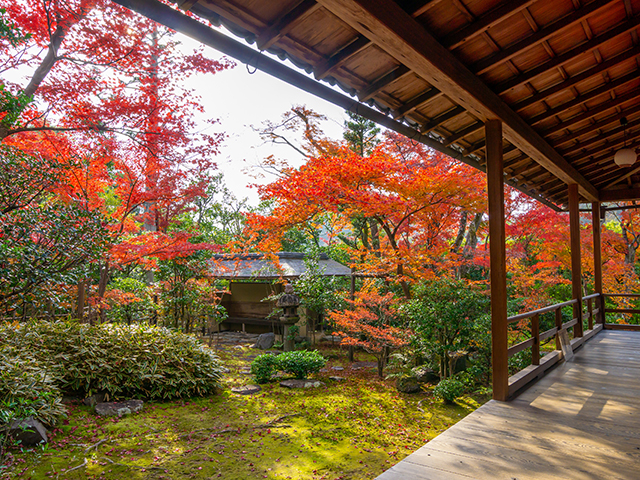 大法院