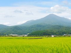 筑波山神社