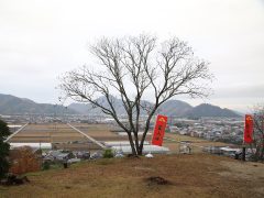 韮山城跡